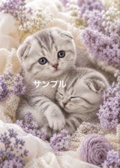 かゆっこ■C033■美品■正絹■籠に子猫柄　足跡　袋帯■スコティッシュ 一作限り】花香る子猫たち 癒し スコティッシュフォールド 猫アート