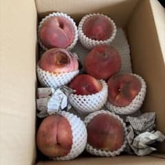 訳あり 桃 詰め合わせのサムネイル
