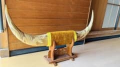 【ルアン123様専用】水牛の角　ドラゴンつきのサムネイル