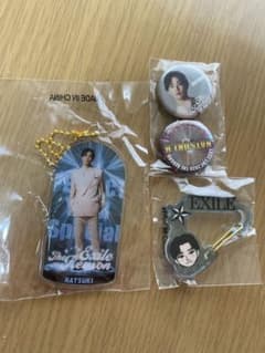 堀夏喜 ネックストラップ レア&缶バッジ 堀夏喜 さん EXILE REASON クリアチャーム 缶バッジ セット - メルカリ