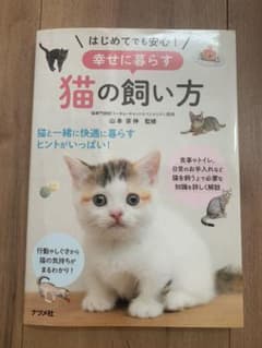 はじめてでも安心!幸せに暮らす猫の飼い方のサムネイル