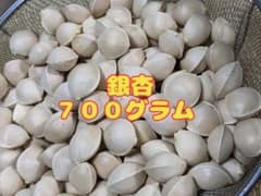 天然銀杏 700グラム 令和5年産 無農薬のサムネイル