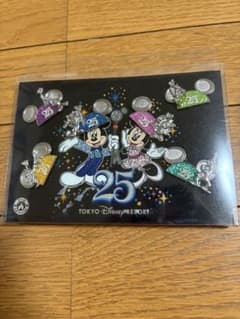 東京ディズニーリゾート 25周年ピンバッジセットのサムネイル