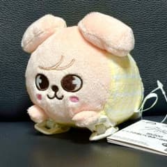 GiGO限定】 SKZOO くっつきぬいぐるみ スンミン パピーム - メルカリ