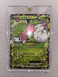 シェイミEX：プレミアムポケキュン♥セット PROMO XYシリーズ