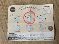 うちの子のけだまだま ガチャガチャ トライカラーチワワのサムネイル