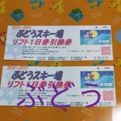 楽様専用。ぶどうスキー場リフト一日券引換券×2枚のサムネイル