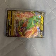 レックウザvのサムネイル