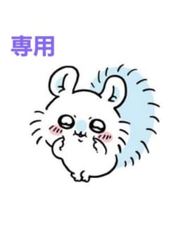 専用出品のサムネイル