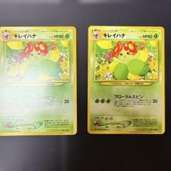ポケモンカード 旧裏面 キレイハナ 2枚セット インフォメーション