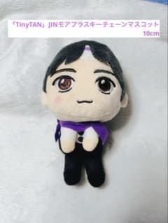 [TinyTAN] JIN 모어 프라 스키 체인 마스코트 10cm