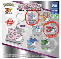 ポケモン 30周年 メタルチャームマスコット 2種セットのサムネイル