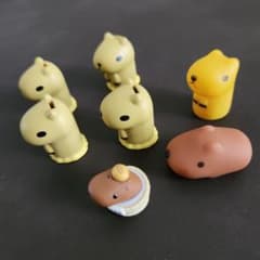 카피바라 씨 프레리 씨