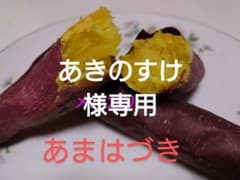 あきのすけ 様専用のサムネイル