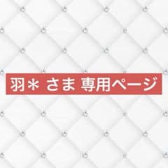 羽＊さま専用ページ にじさんじまとめ売りのサムネイル