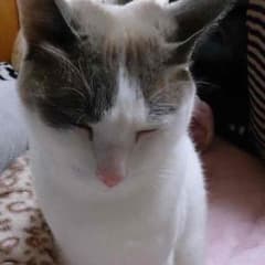 あどぅ様専用ページのサムネイル