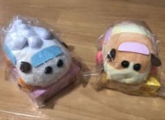 [세트] PUI PUI 몰카 딱 ​​맞으면