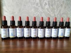 30ml□1本□ヒーリングハーブス社フラワーエッセンス