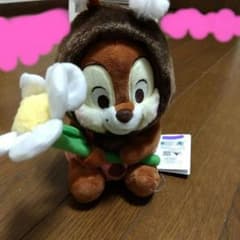 데일 봉제 인형 꽃 포함