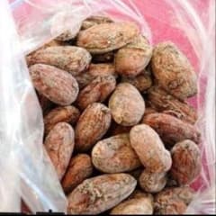 カカオ生豆(インドネシア産)100㌘のサムネイル