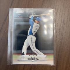 Topps Stadium Club Reo Shibata ルーキーカード