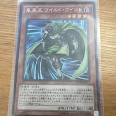 遊戯王 風来王 ワイルド・ワインドのサムネイル