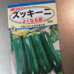 ズッキーニのたねのサムネイル