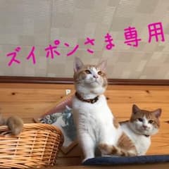 初代iPad 16GBのサムネイル