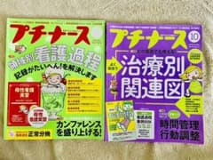 プチナース2018年　領域別看護過程/治療別関連図のサムネイル