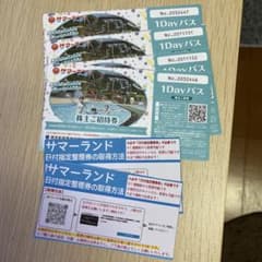 東京サマーランド1Dayパス4枚組のサムネイル