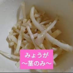 みょうが【茎のみ】野菜　青森県産　無農薬　自然栽培のサムネイル
