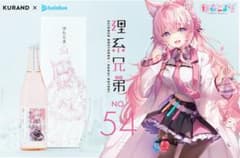 理系兄弟No.54 博衣こより 新品未開封のサムネイル