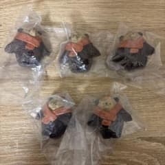 首元温め熊×5 カメラ熊×1のサムネイル