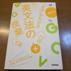 成川の「なぜ」がわかる英文法の授業のサムネイル