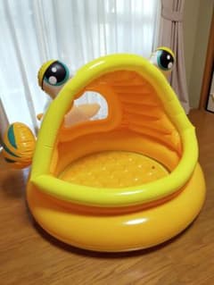 【子供用プール】屋内用（ボールプール）／屋外用（水遊び）のサムネイル