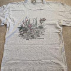 90s NORTHERN REFLECTIONS Tシャツ シングルステッチのサムネイル