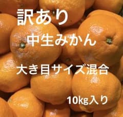 有田みかん 純宝丸 訳あり中生 みかん大き目サイズ混合10㎏入り - メルカリ