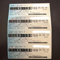 当日配送】上国&岩原スキー場リフト券 ✖️4枚セット ナイターOK