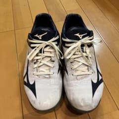 ミズノスパイク26センチのサムネイル