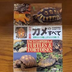カメのすべて : 世界のカメ124種と上手なカメの飼い方のサムネイル