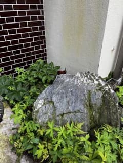 現地にて受け渡し希望　群馬県産三波石　庭石 景石 天然石 鑑賞石のサムネイル