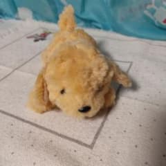 モンスイユ 犬 ぬいぐるみ MONSEUIL パプス - メルカリ