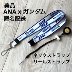 m16971898671_1.jpg?1728089187