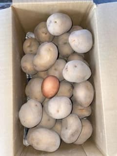 インカのめざめ箱詰め 5kg Ｌサイズのサムネイル