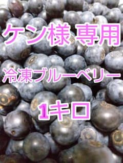 ケン様 専用 冷凍ブルーベリーのサムネイル