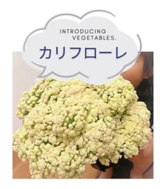 カリフローレ　箱満杯詰1.3kg〜のサムネイル