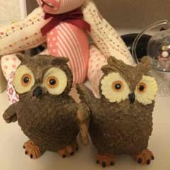 仲良しフクロウ♡のサムネイル