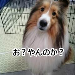 悠くん専用のサムネイル