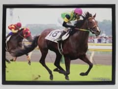 競馬 ジャングルポケット パネル 日本の種牡馬