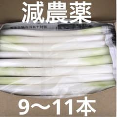 不揃いカットネギ　　　　　おいし〜いよ！ 　　A4サイズのサムネイル